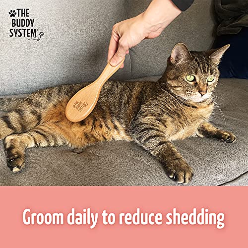 Soft Cat Brush with Boar Bristles (1 Count (Pack of 1))