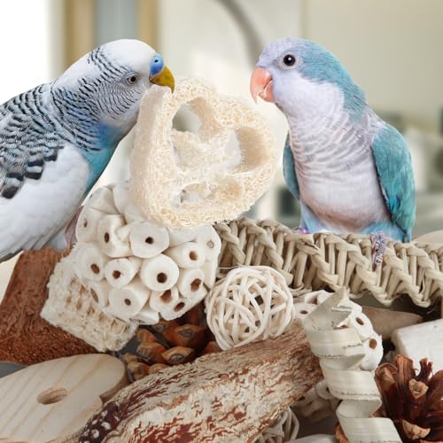 Bird Toys Parrot Toys Natural Bird Foraging Box Foot for Parakeets (Medium)