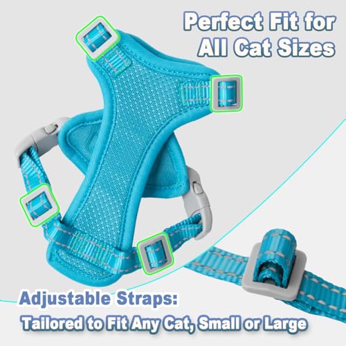 Cat Harness and Leash Set Escape Proof for Kitten Walking (Medium / Blue)
