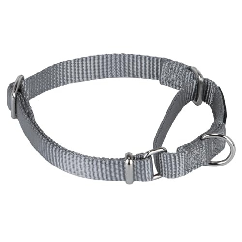 Martingale Dog Collar (Small / Sleet Gray)