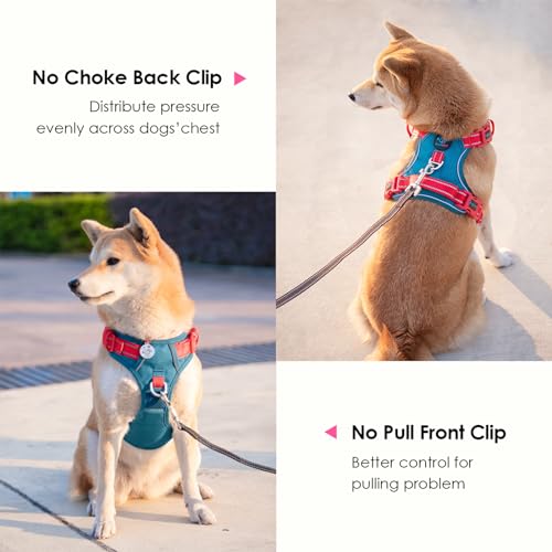 No Pull Dog Harness (Teal Base & Red Straps / Extra Large)