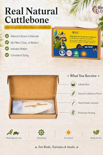 7.5 8" Cuttlebone for Birds (1 Count (Pack of 1))