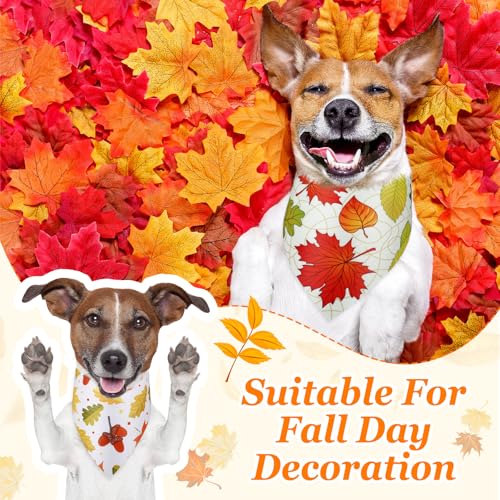 100 Pcs Fall Dog Bandanas Bulk Maple Leaf Print Autumn Pet Bandana (Maple / 25.6 x 17.7 x 17.7")