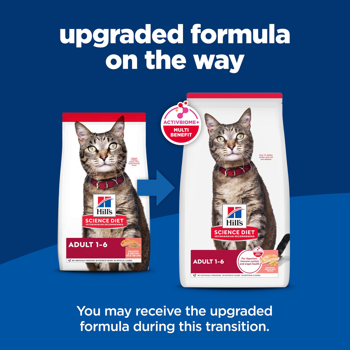 Adult 1 6 Dry Cat Food (3.5 Pound (Pack of 1))