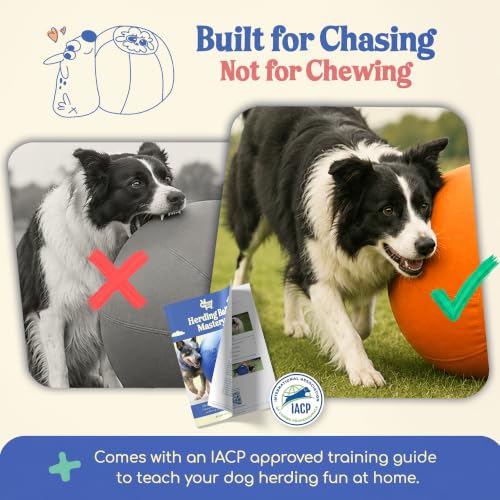 25" Herding Ball for Dogs (Tangerine - L 25" Herding Ball Set / L 25")