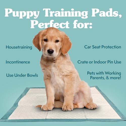 Large Puppy Training Pads