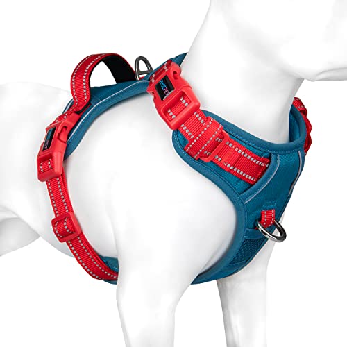 No Pull Dog Harness (Teal Base & Red Straps / Extra Small)