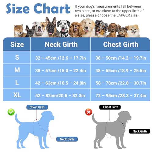 Dog Harness No Pull (Mosaic Blue / X-Large)