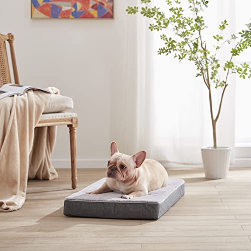 Orthopedic Memory Foam Dog Bed (Purple Grey / Medium-29"x 18" x 3")