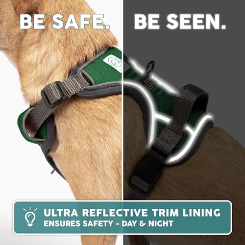 Embark No Pull Dog Harness (XS / Green)