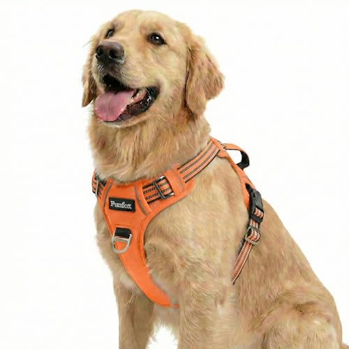 Dog Harness No Pull (Orange / Large)