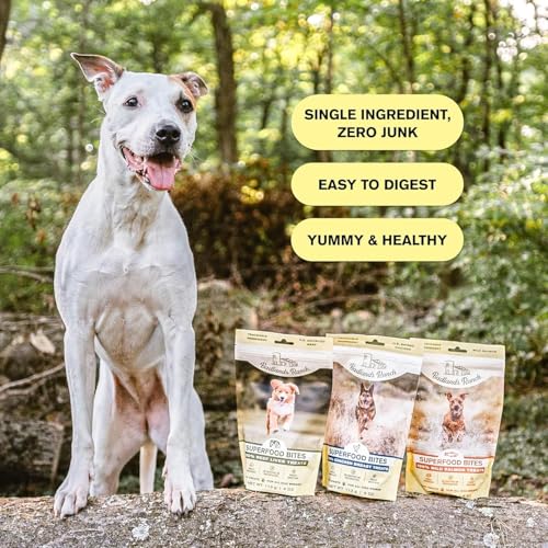 Superfood Bite Chicken Dog Treats (4 Ounce (Pack of 4))