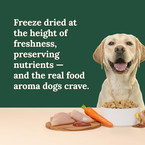 Freeze Dried Raw Dog Food (5 Ounce (Pack of 1))