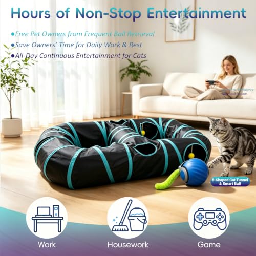 Interactive Cat Toy (8-Shape)