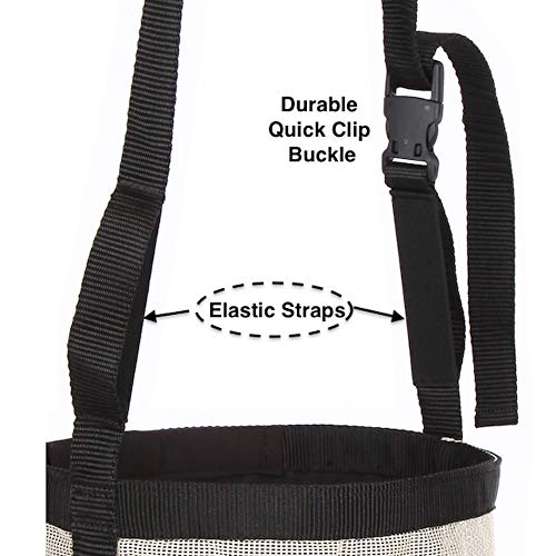 Horse Feed Bag (Pony / Beige)