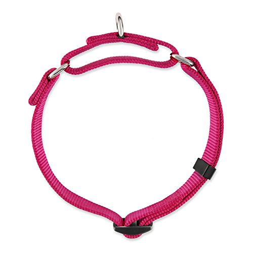 Martingale Dog Collars for Medium Dogs (Medium / Rose Red)