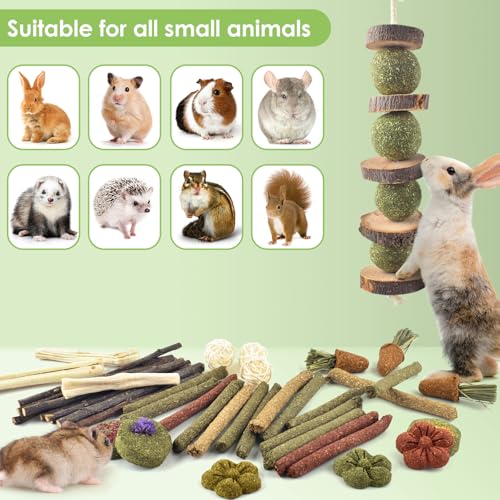 42PCS Rabbit Chew Toys (42)