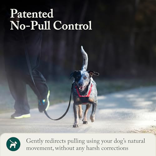 No Pull Dog Harness (Medium / Red)