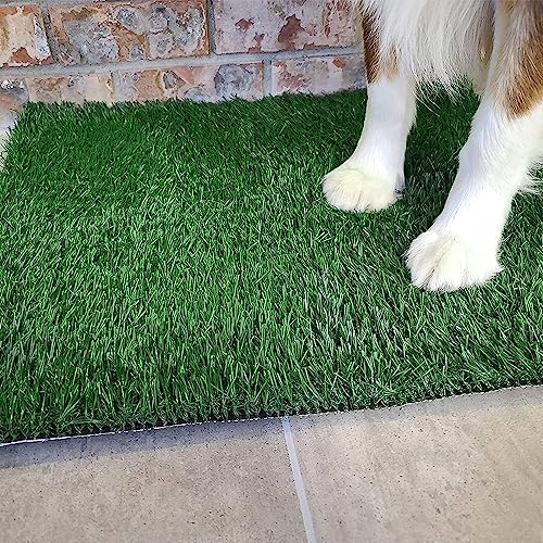 Grass Pad with Tray 20"x16" (20"x16")