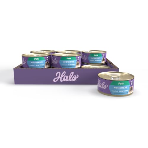 Pate Wet Cat Food