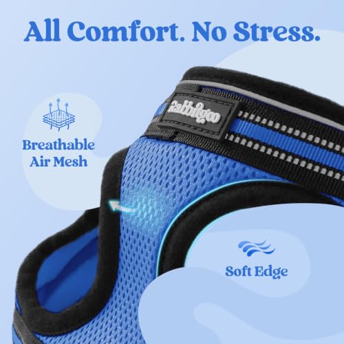 Cat Harness and Leash Set (L / Blue)