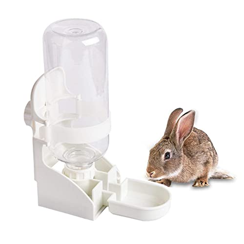 Rabbit Water Bottle (1PCS Water Dispenser, White)