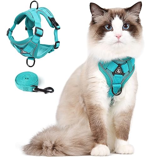 Cat Harness and Leash Set