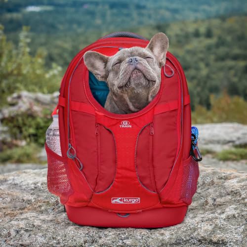 G Train Pet Carrier Backpack (Red)