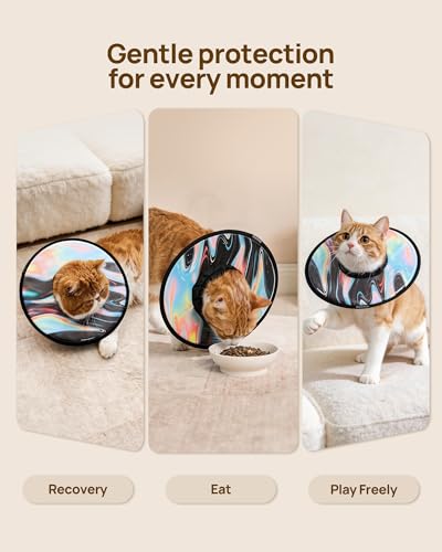 Soft Cat Cone Collar (Stellar Wanderer / S)