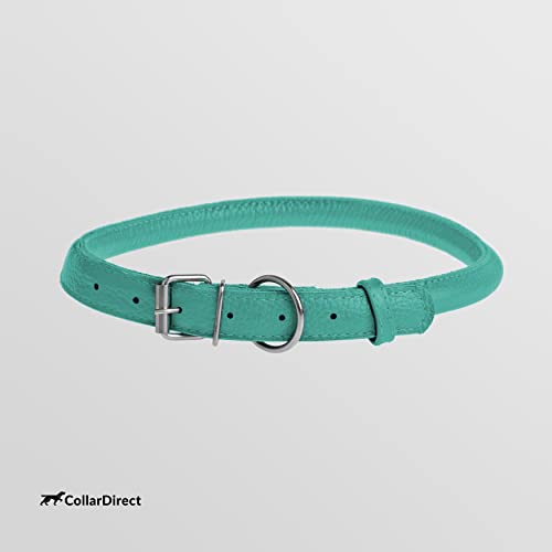 Tangle Free Rolled Leather Dog Collar (Mint Green / S)