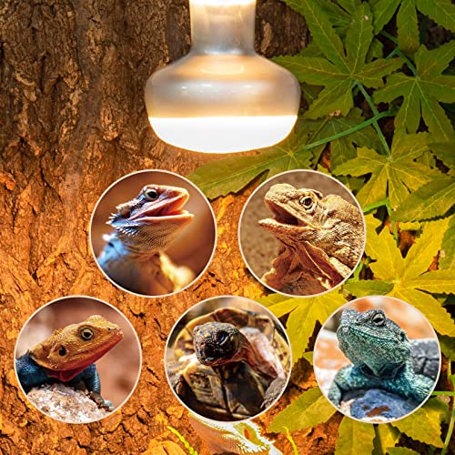 2 Pack Heat Lamp 75W (Natural Basking Light Bulb 75W)