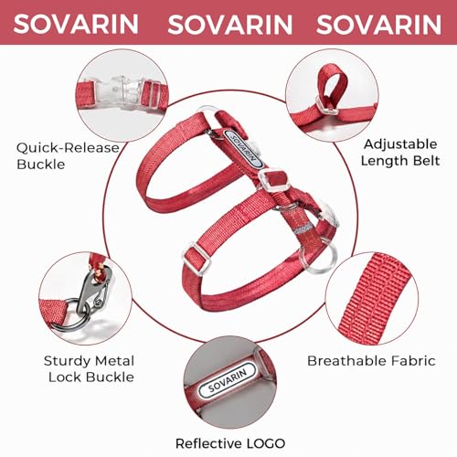 Cat Harness and Leash Set (Red)