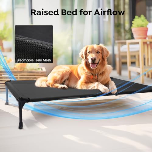 Outdoor Elevated Dog Bed with Waterproof Bolster Cushion (Black / 32.0"L x 25.0"W x 7.0"Th)