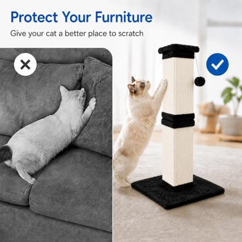 Vertical Cat Scratching Post for Indoor Cats (Black White)