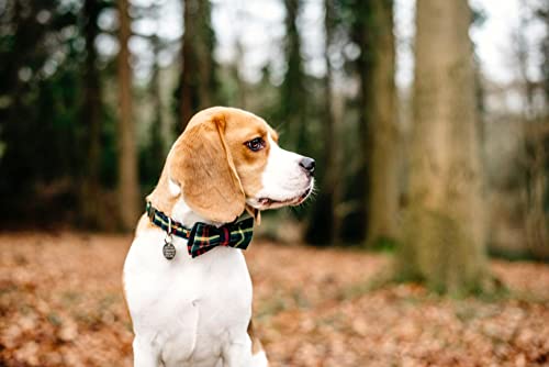 Christmas Dog Collar with Bowtie Durable Adjustable Handmade Comfortable Bow Tie Dog Collar Green with Metal Buckle for XL Dogs (X-Large (Pack of 1) / Green Tartan)