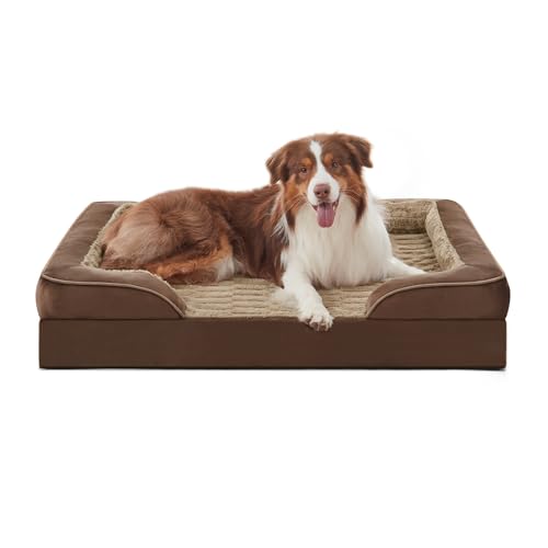 Orthopedic Medium Dog Bed (35.0''l x 25.0''w x 6.5''th / Brown)