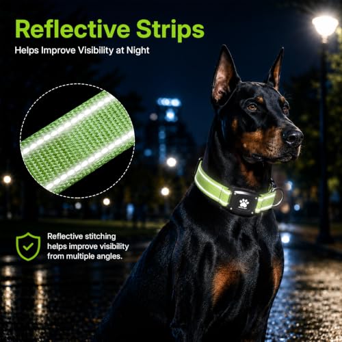GPS Dog Collar with Tracker (Green / L(16.5''-23.5''))