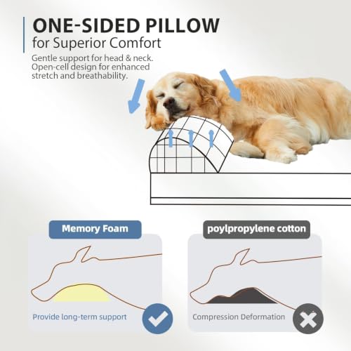 Orthopedic Dog Beds for Extra Large Dogs (XX-Large / Canvas-Green)