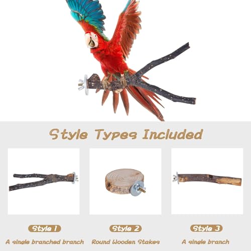 8 Pieces Bird Perch Natural Wooden Parrot Perch Stand Fork Toys Hanging Multi (A-color / Mix)