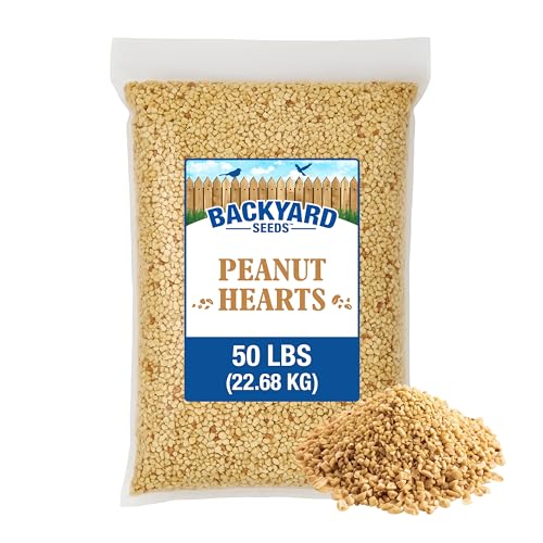 50LB Peanut Hearts for Wild Birds & Squirrels (50 Pound (Pack of 1) / Peanut Hearts)