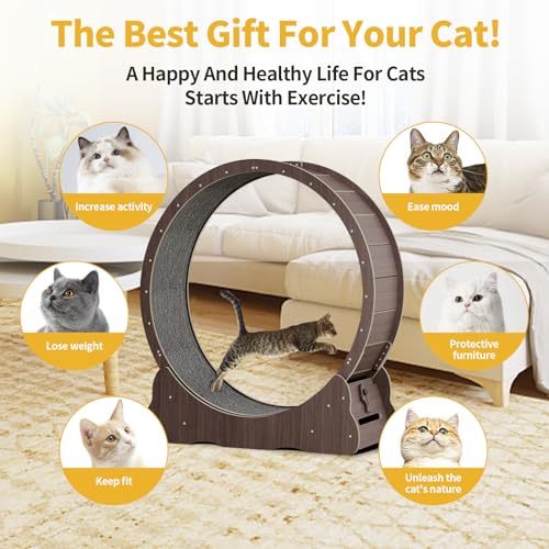 Cat Running Wheel (XL / Brown)