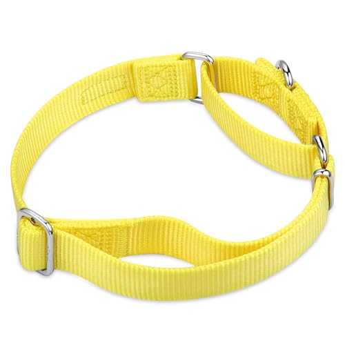 Martingale Collar for Dogs (Large / Illuminating Yellow)