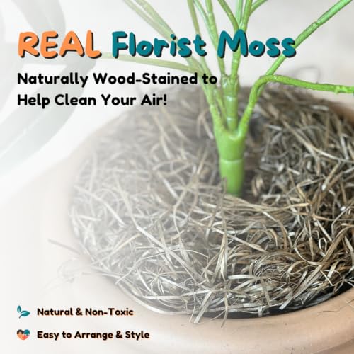 Original Hidden Litter Box Planter (Broad Leaf Philodendron / Essentials Kit / Terracotta Brown)