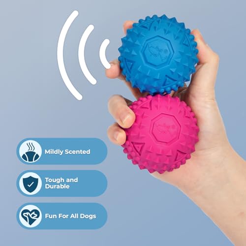 Interactive Squeaky Dog Chew Toy (Fuchsia, Green, Blue, Orange / Medium)