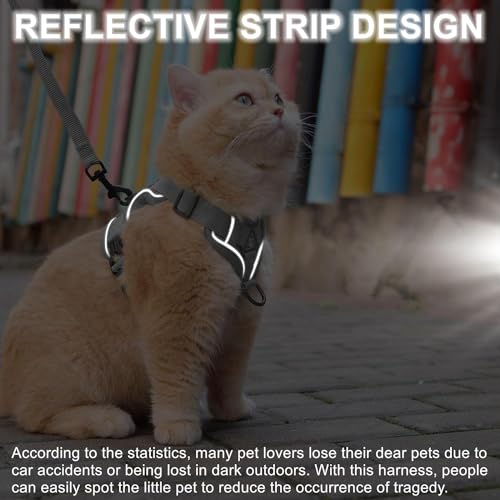 Cat Harness and Leash Set