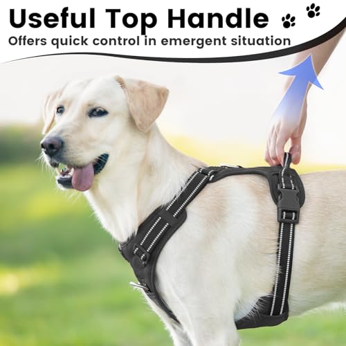 No Pull Dog Harness Front Clip Handle (Black / L(Neck:20.9-31.5",Chest:24.8-37.4"))