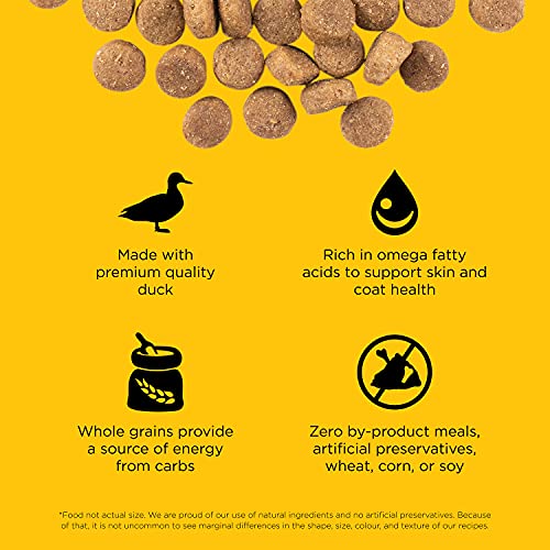 Skin + Coat Care Duck Dry Dog Food with Grains (3.5 Pound (Pack of 1))