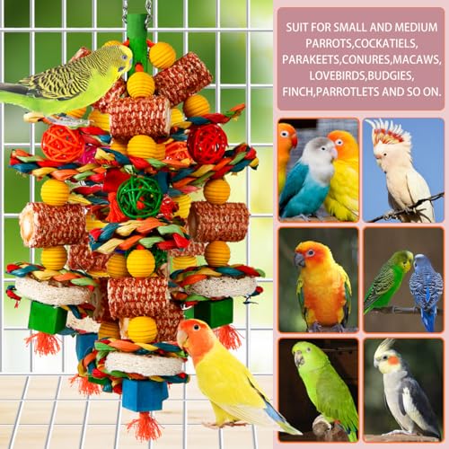 Bird Toys Parrot Toys for Large Birds (Colorful)