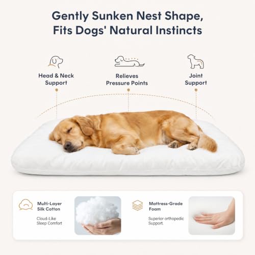 Super Soft Large Dog Bed (39.0"L x 33.5"W x 4.0"Th / Blue)
