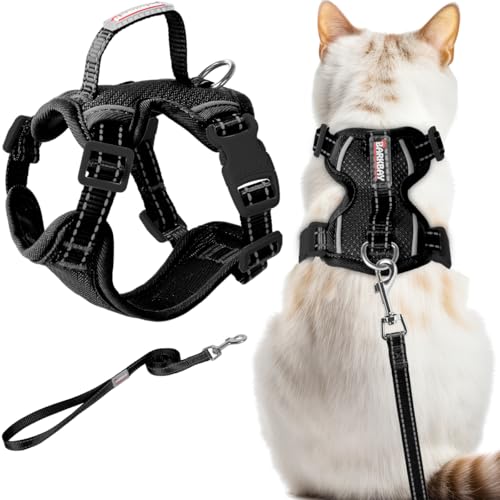 Cat Harness and Leash Set Escape Proof for Kitten Walking (Medium / Black)